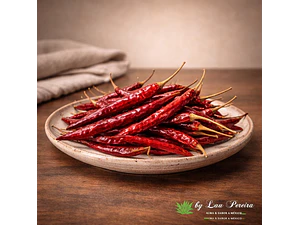 Chile de Árbol Inteiro 100g | Las Catrinas