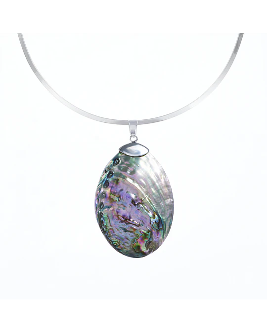 Dije Abalone 