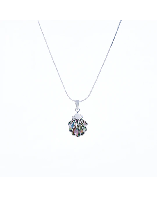 Dije Ostra Abalone 
