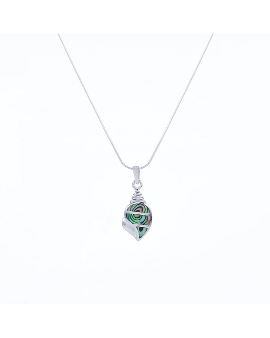 Dije Caracola Abalone