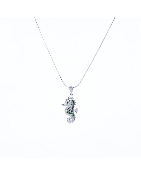 Dije Mini Sea Horse Abalone 