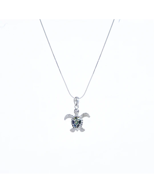 Dije Mini Tortuga Abalone 