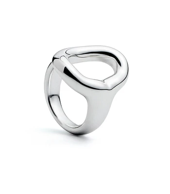 Anillo Universo