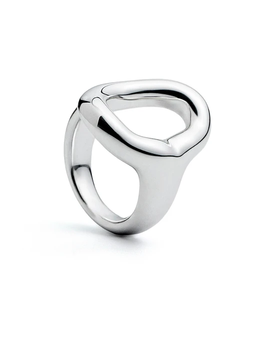 Anillo Universo