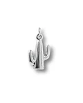 Dije Cactus 