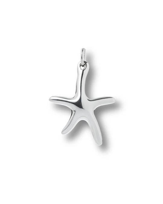 Dije Mini Estrella de Mar