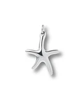 Dije Mini Estrella de Mar