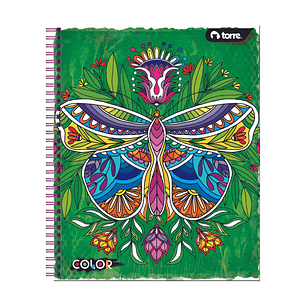 Cuaderno Universitario Color 7mm 100 hjs. (Modelos 2026)