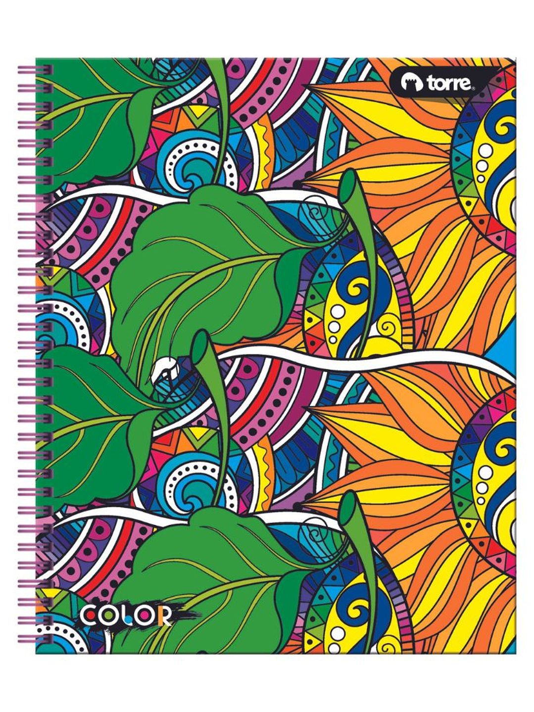 Cuaderno Universitario Color 7mm 100 hjs. (Modelos 2026) 2