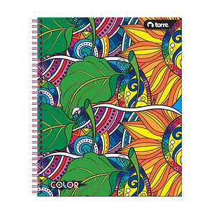 Cuaderno Universitario Color 7mm 100 hjs. (Modelos 2026)