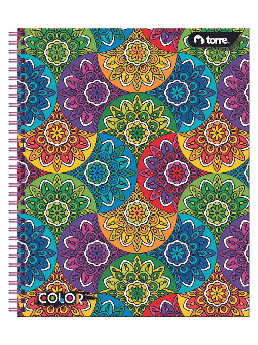 Cuaderno Universitario Color 7mm 100 hjs. (Modelos 2026) 4