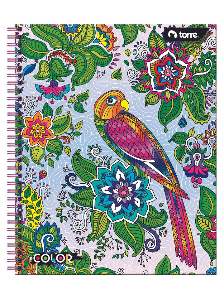 Cuaderno Universitario Color 7mm 100 hjs. (Modelos 2026) 5