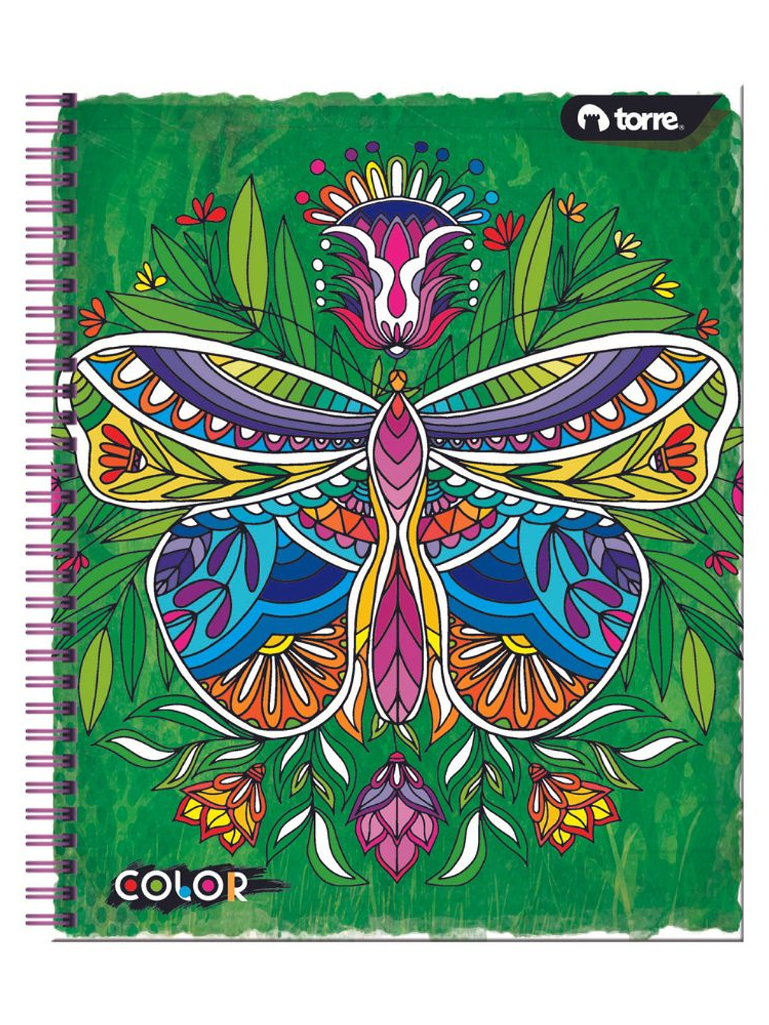 Cuaderno Universitario Color 7mm 100 hjs. (Modelos 2026) 6
