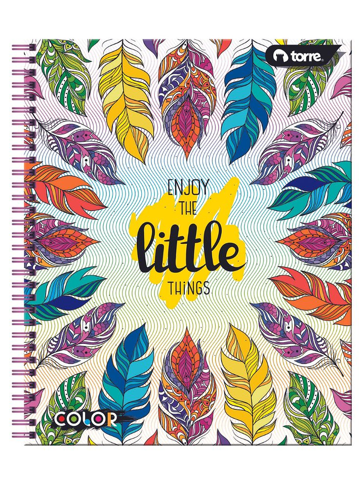 Cuaderno Universitario Color 7mm 100 hjs. (Modelos 2026) 9