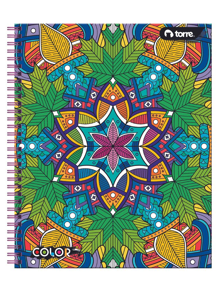 Cuaderno Universitario Color 7mm 100 hjs. (Modelos 2026) 10