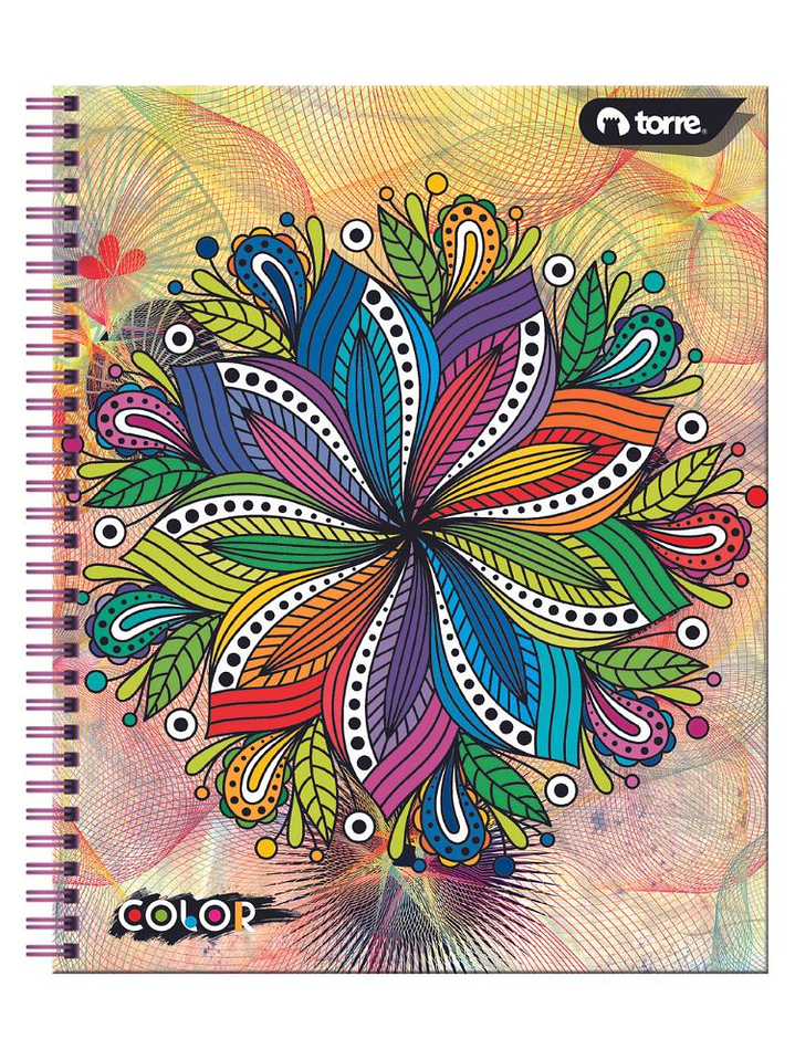 Cuaderno Universitario Color 7mm 100 hjs. (Modelos 2026) 12