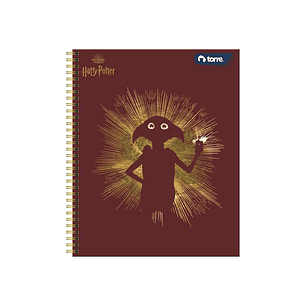 Cuaderno Universitario Harry Potter 7m 100h