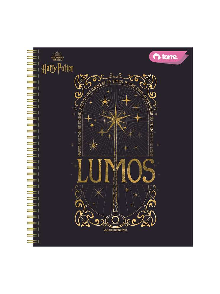 Cuaderno Universitario Harry Potter 7m 100h 7