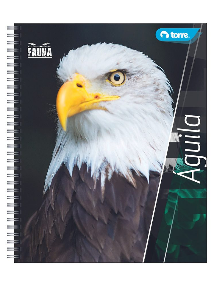 Cuaderno Universitario Torre Clásico Fauna 7mm 100 hojas  (Modelos 2026) 3