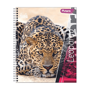 Cuaderno Universitario Torre Clásico Fauna 7mm 100 hojas  (Modelos 2026)