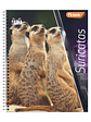 Cuaderno Universitario Torre Clásico Fauna 7mm 100 hojas  (Modelos 2026) - Miniatura 7
