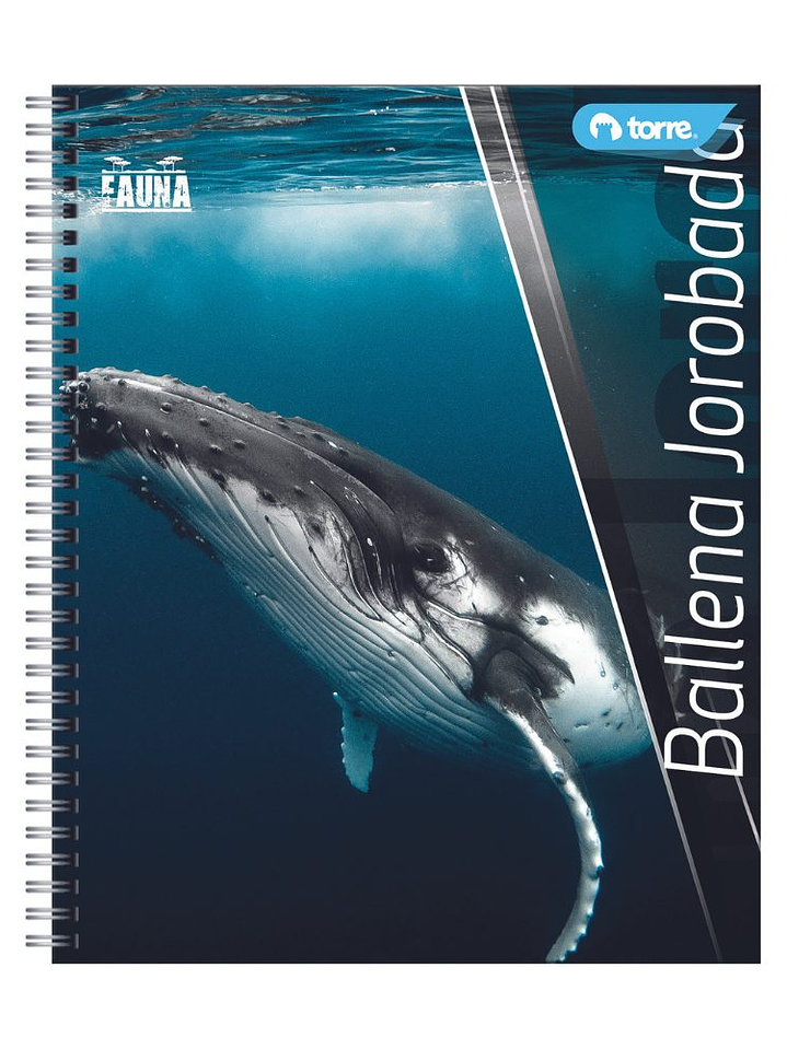 Cuaderno Universitario Torre Clásico Fauna 7mm 100 hojas  (Modelos 2026) 11