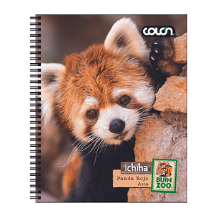 Cuaderno  Universitario Colon Buin Zoo 7mm 100 hojas