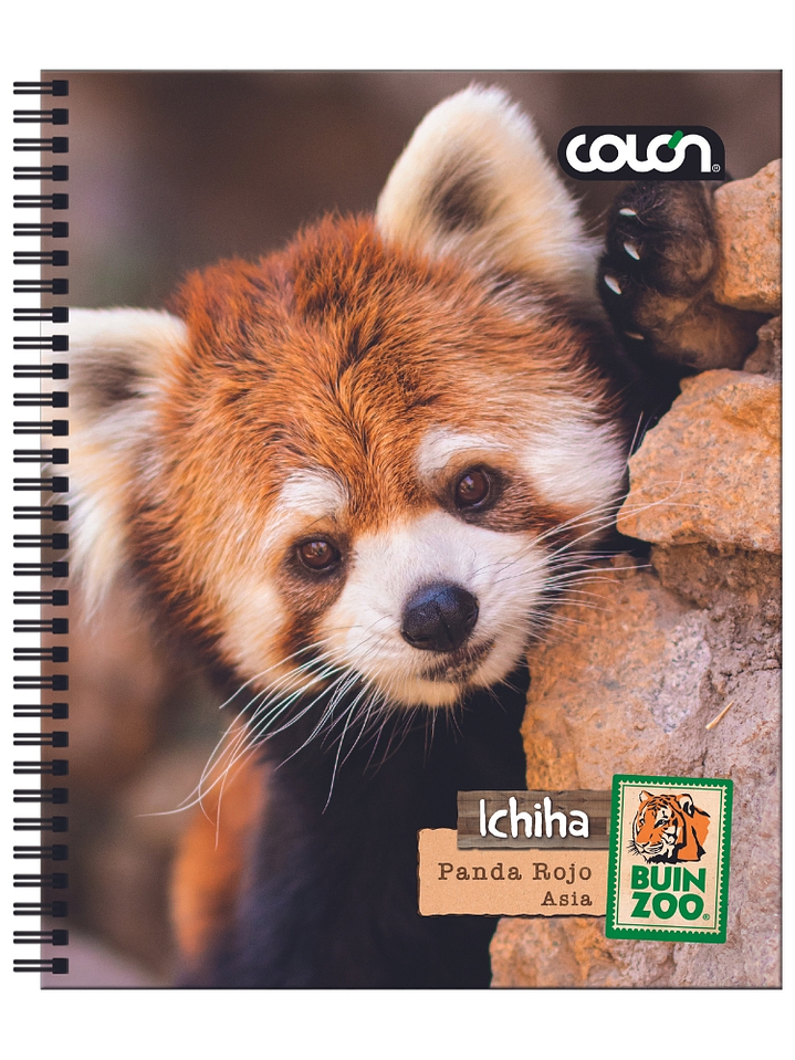 Cuaderno  Universitario Colon Buin Zoo 7mm 100 hojas 2