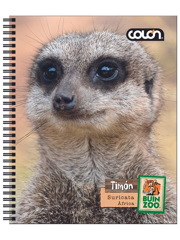 Cuaderno  Universitario Colon Buin Zoo 7mm 100 hojas 5