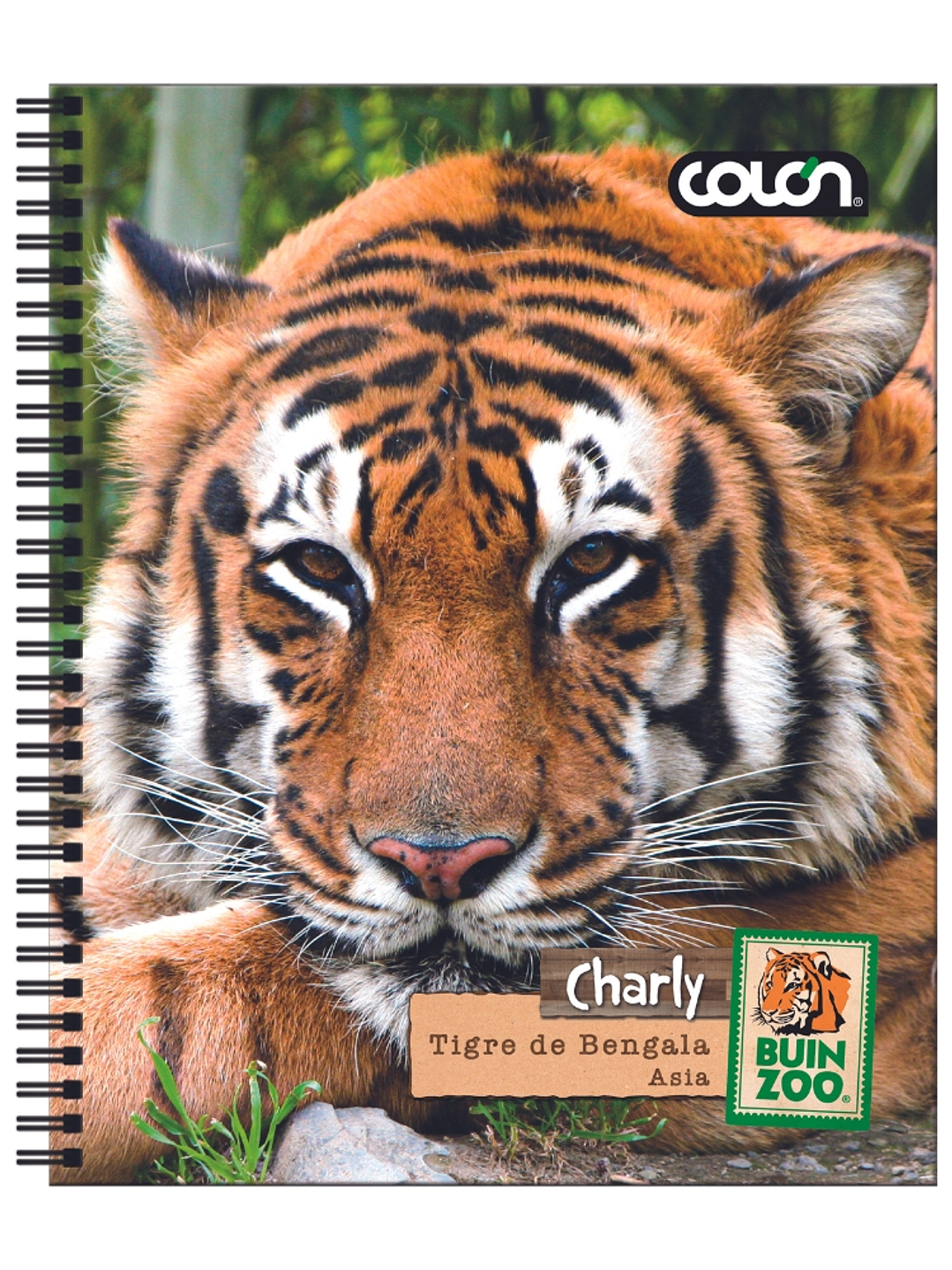 Cuaderno  Universitario Colon Buin Zoo 7mm 100 hojas 8