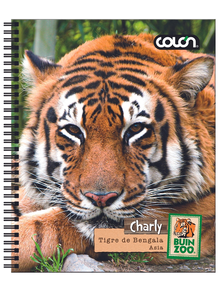 Cuaderno  Universitario Colon Buin Zoo 7mm 100 hojas 8