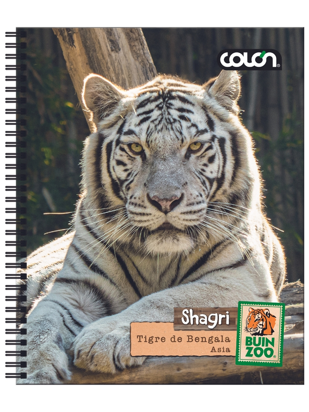 Cuaderno  Universitario Colon Buin Zoo 7mm 100 hojas 1