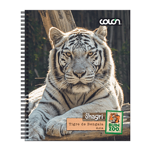 Cuaderno  Universitario Colon Buin Zoo 7mm 100 hojas