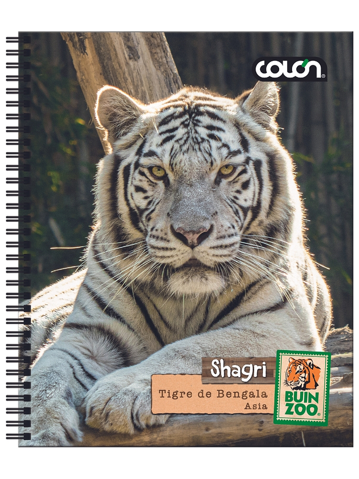 Cuaderno  Universitario Colon Buin Zoo 7mm 100 hojas 1