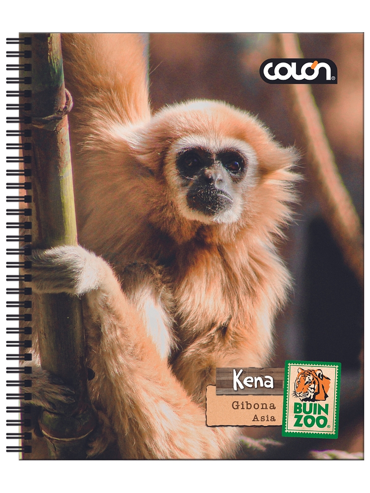 Cuaderno  Universitario Colon Buin Zoo 7mm 100 hojas 10