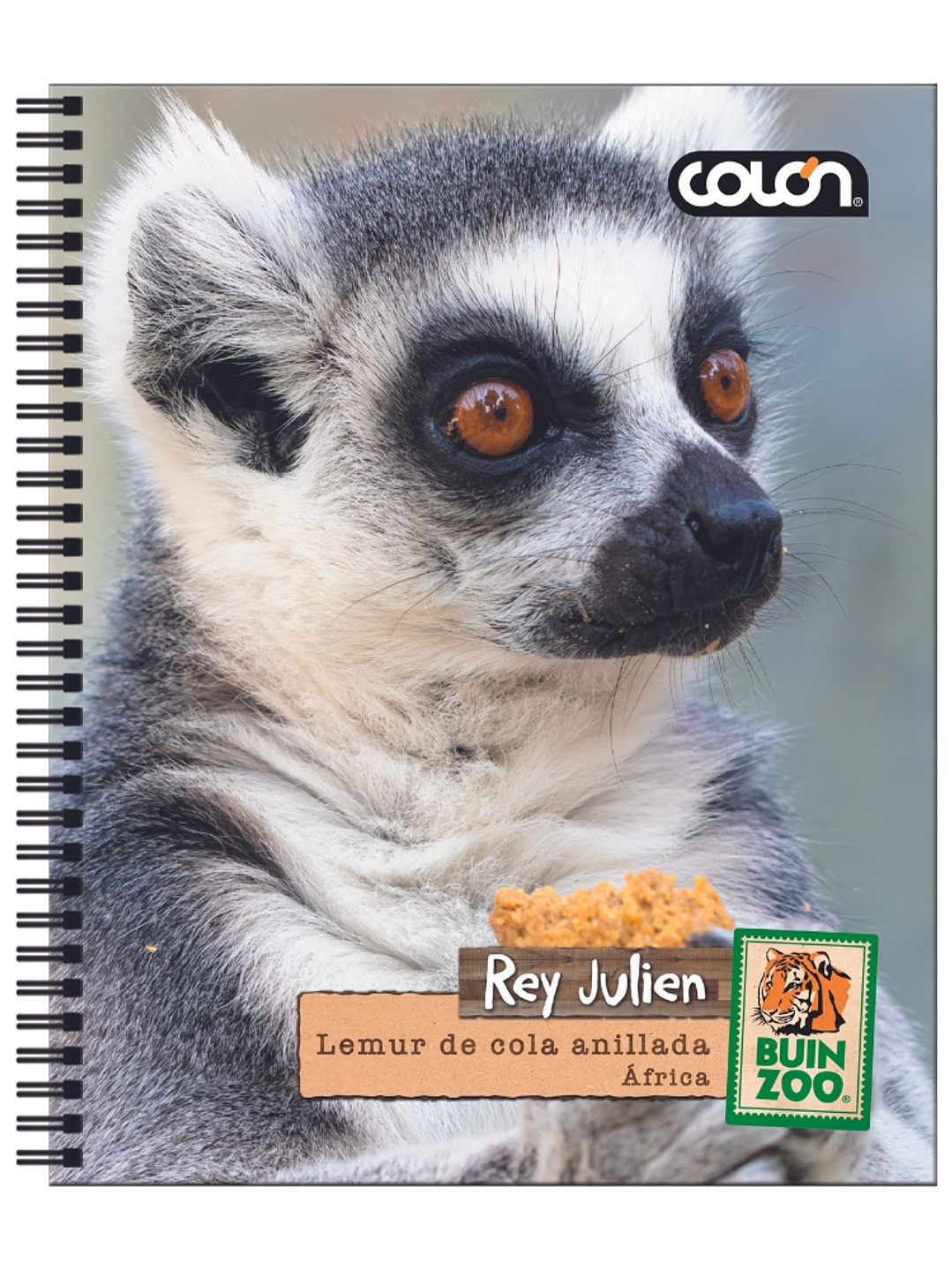 Cuaderno  Universitario Colon Buin Zoo 7mm 100 hojas 11