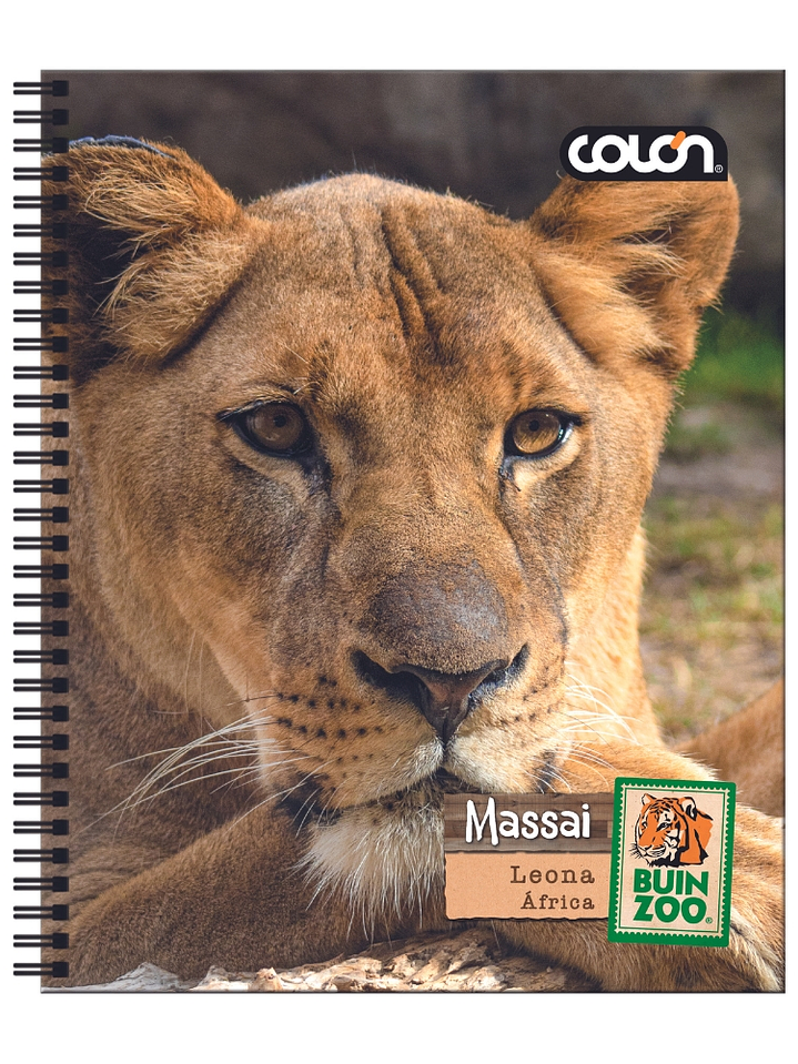 Cuaderno  Universitario Colon Buin Zoo 7mm 100 hojas 12