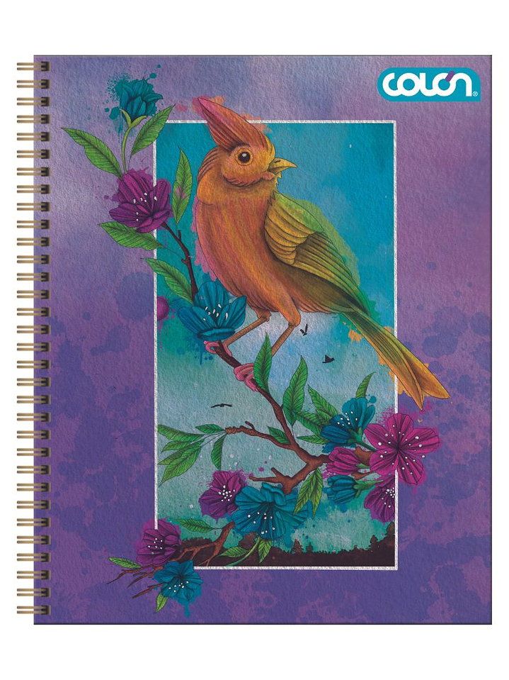 Cuaderno Universitario Colon Natura 7mm 100 hojas (Tapa Dura - 2026) 5