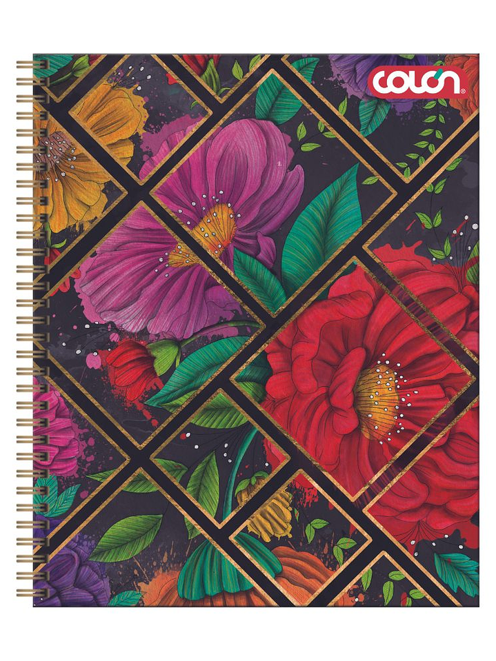 Cuaderno Universitario Colon Natura 7mm 100 hojas (Tapa Dura - 2026) 7