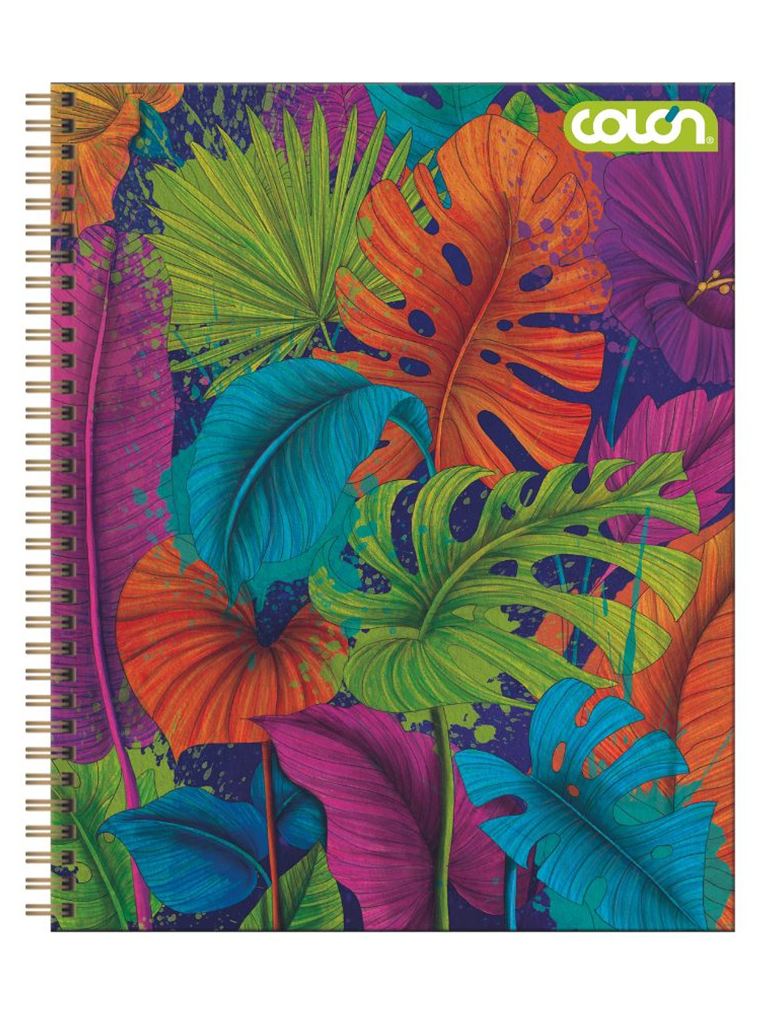 Cuaderno Universitario Colon Natura 7mm 100 hojas (Tapa Dura - 2026) 11