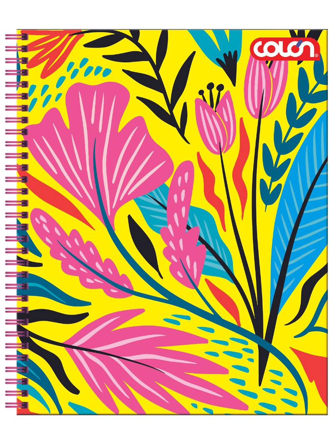 Cuaderno  Universitario Colon Fémina 7mm 100 hojas 6