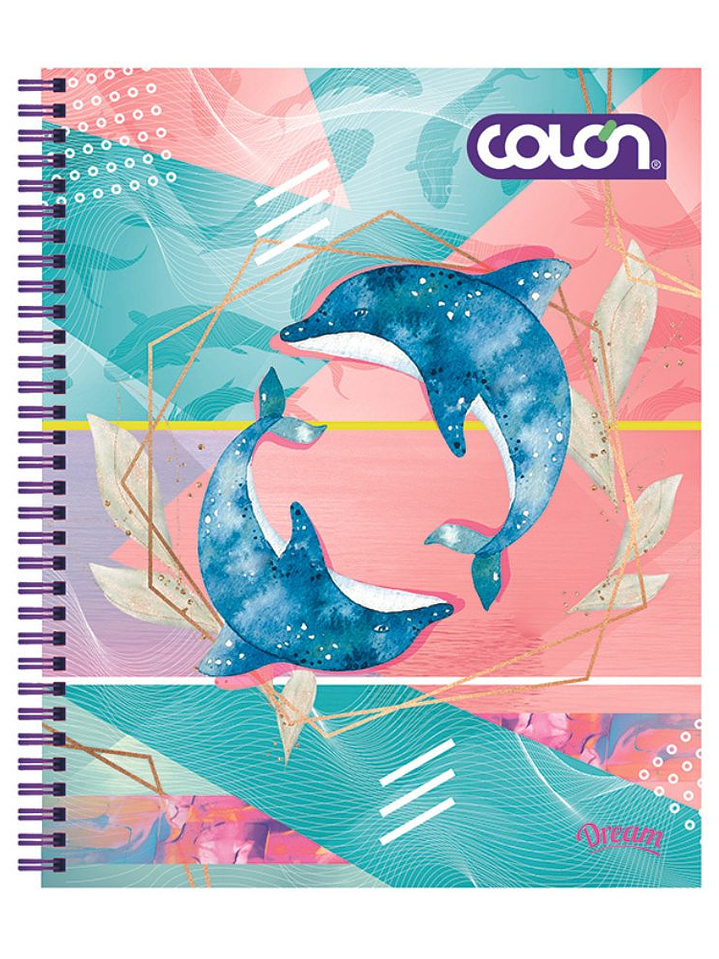 Cuaderno  Universitario Colon Dream 7mm 100 hojas 4