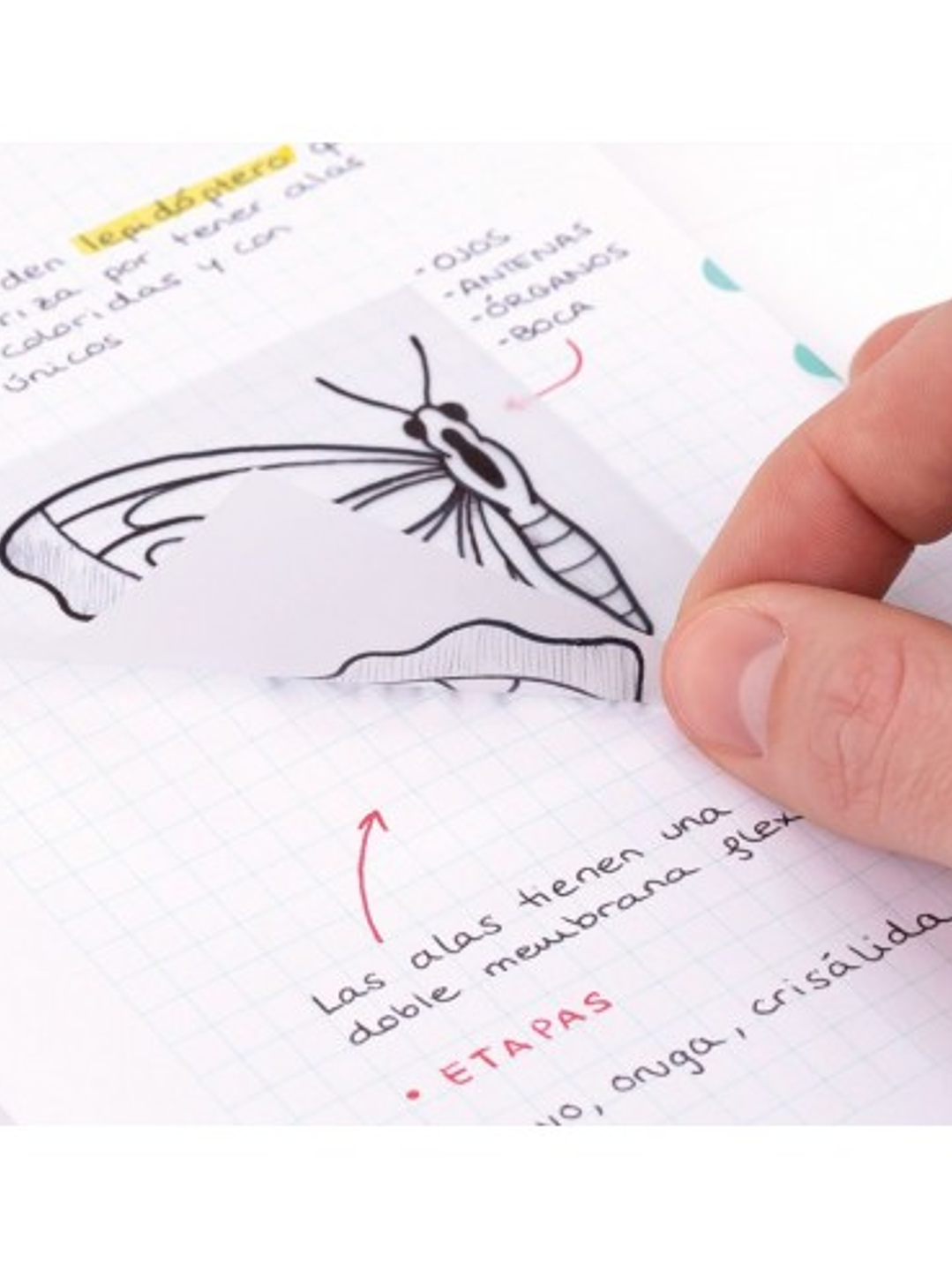 Post - It Transparentes  4