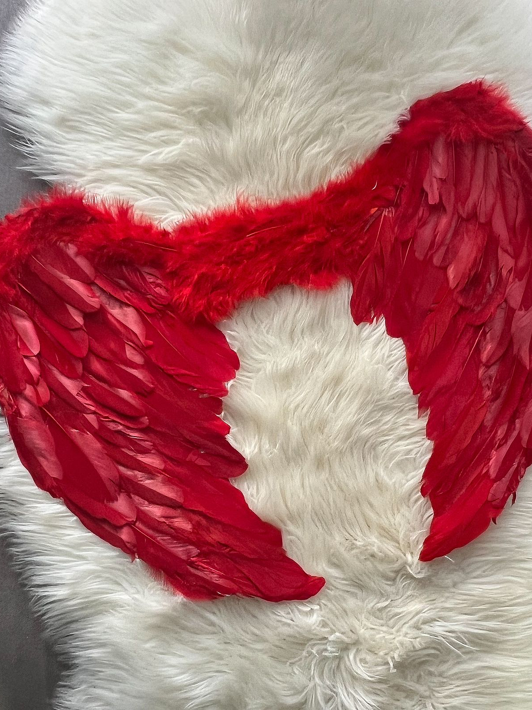 Alas de Angel/Diablita 3