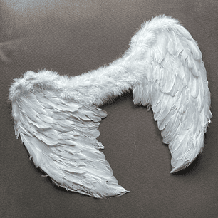 Alas de Angel/Diablita