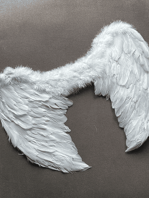 Alas de Angel/Diablita