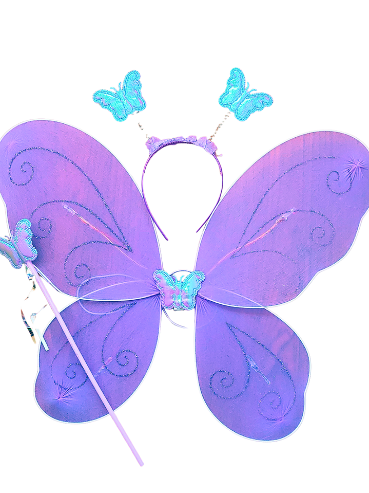 Set Alas de Mariposa Con Luz 2
