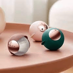 Rodillo Quita Pelusa 