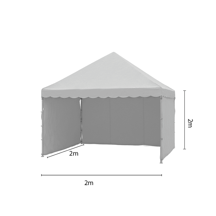 Carpa 2*2  4