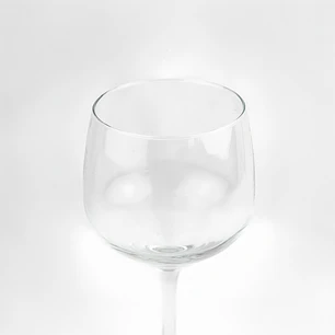 Copa ginebra